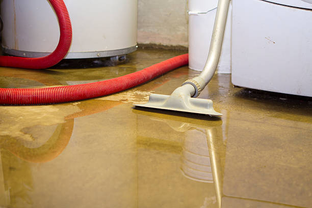 Best Sewage Cleanup and Restoration in Scottsbluff, NE